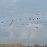 PB050053.jpg