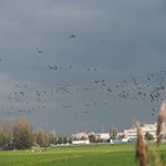 PB050047.jpg