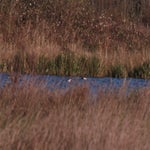 PB234817-1.jpg