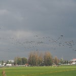 PB050042.jpg