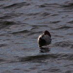 PB054726.jpg