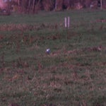 PB234805.jpg