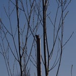 P4014654.jpg