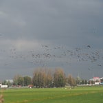 PB050043.jpg
