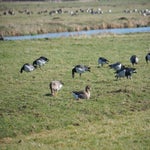 P3020055-1.jpg
