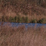 PB234816-1.jpg