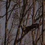 PB054710.jpg