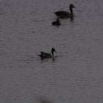 PB054777.jpg