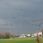 PB050046.jpg