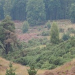 P9030005-1.jpg