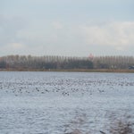 PB050055-1.jpg