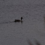 PB054771-1.jpg