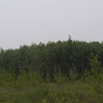 P5194045-2.jpg