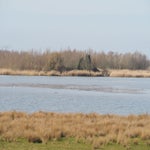 P2250010.jpg
