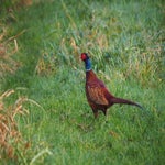 PB050028-1.jpg