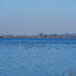 P3020036-1.jpg