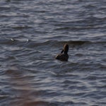PB054724-1.jpg