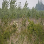 P5194059-1.jpg