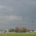 PB050040-1.jpg