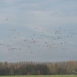 PB050052.jpg
