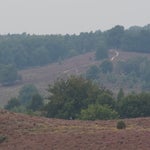 P9030003-1.jpg