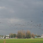 PB050041-1.jpg