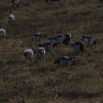 P2254830.jpg