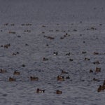 PB054747.jpg