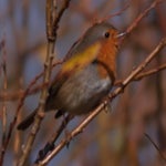 PB054712-1.jpg