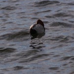 PB054725.jpg
