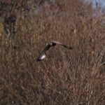 PB054711.jpg