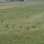 P3020060-1.jpg