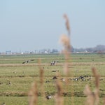 P3020059-1.jpg
