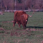 PB234807-1.jpg