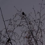 PB054718.jpg