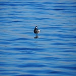 P3020024-1.jpg