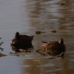 PB054716-1.jpg