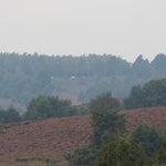 P9030004-1.jpg
