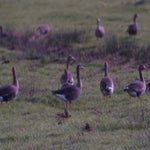 PB054744.jpg