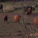 P2254823.jpg
