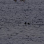 PB054750.jpg