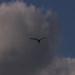 PB234802-1.jpg
