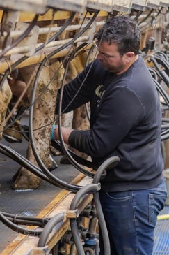 Boerderijfotografie, afscheidsfotografie dier, boerderij reportage