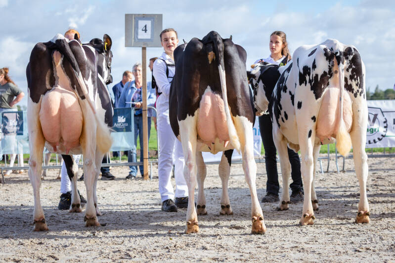 vebo-2026-koe-met-boerin.jpg