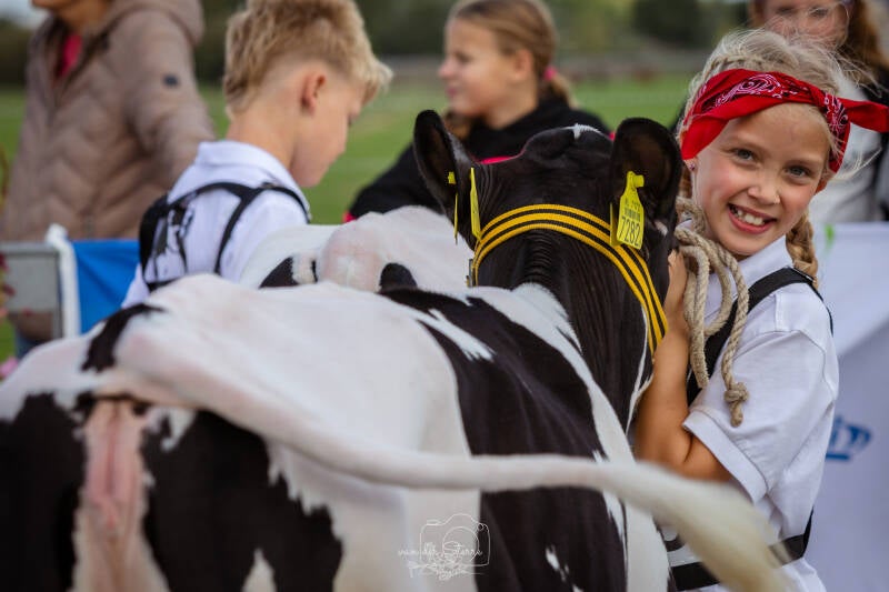 vebo-koeienshow-2026-agrarische-fotograaf.jpg