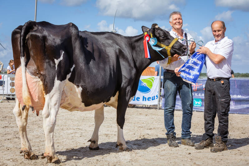 vebo-2026-kampioen-koe-agrarische-fotografie.jpg