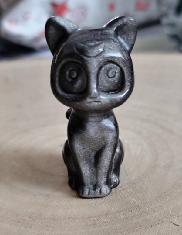 Chat obsidienne argentée