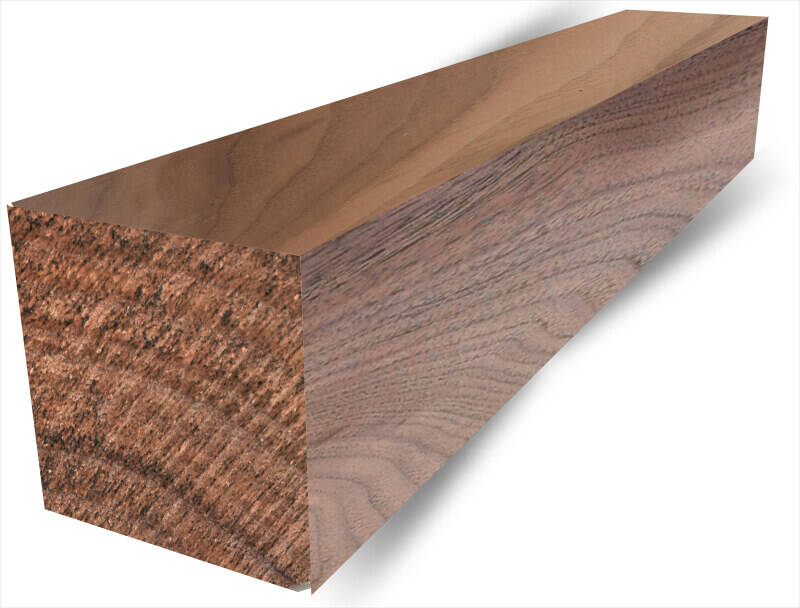 Black Walnut