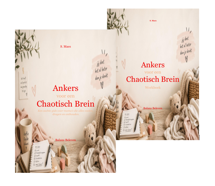 Ankers voor een Chaotisch Brein - Bundel