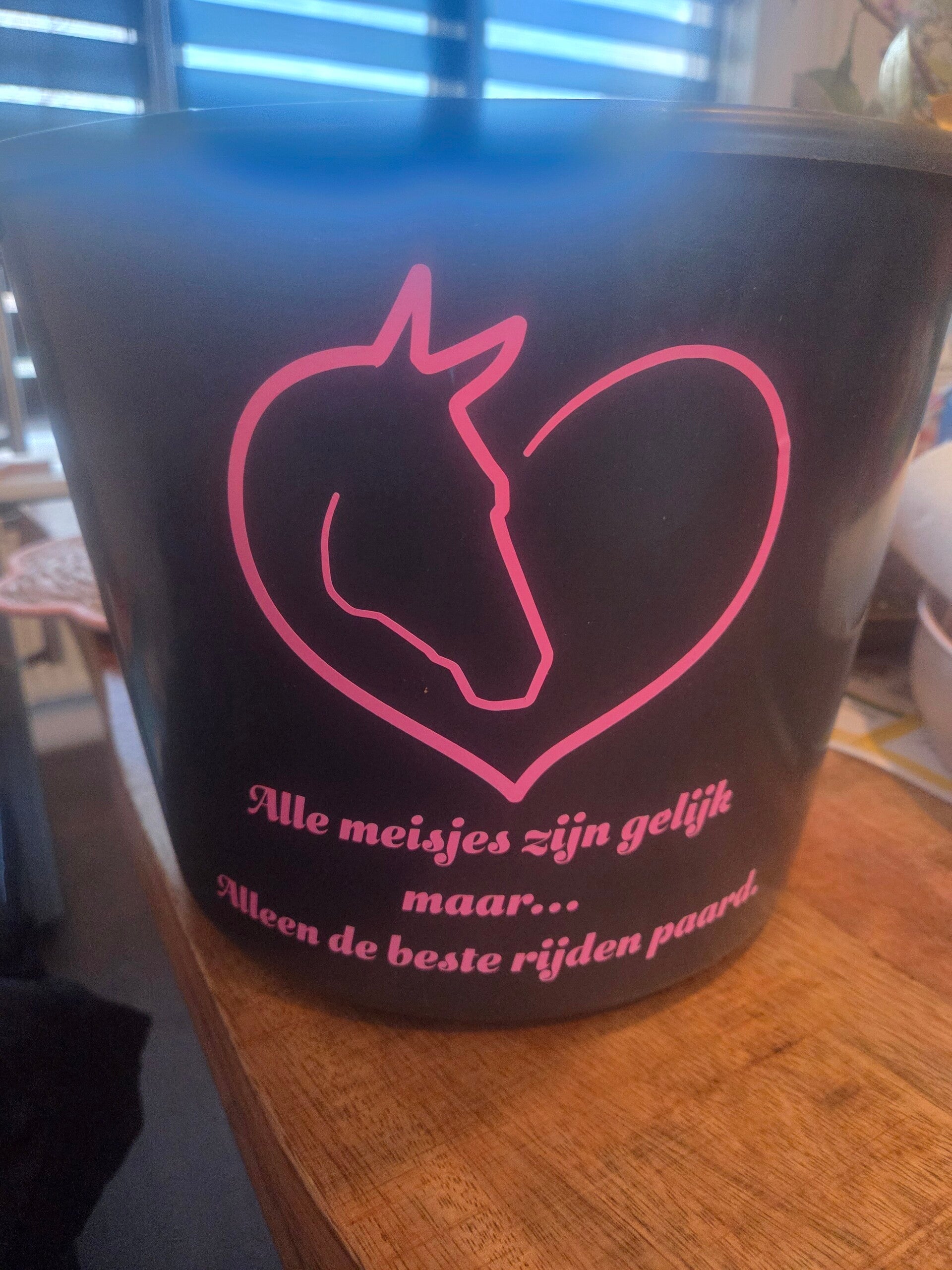 Emmer echte meisjes rijden paard